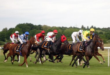 horse race, horse racing, jockey