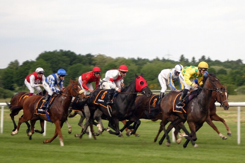 horse race, horse racing, jockey